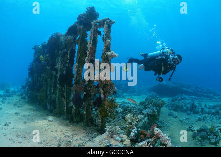 Mar Rosso, Egitto, Egitto. 3 Mar, 2016. Maschio sub a scheletro sul relitto di Yolanda, Shark Yolanda Reef, il parco nazionale di Ras Mohammed, Sinai Sharm el-Sheikh, Mar Rosso, Egitto, Africa © Andrey Nekrasov/ZUMA filo/ZUMAPRESS.com/Alamy Live News Foto Stock