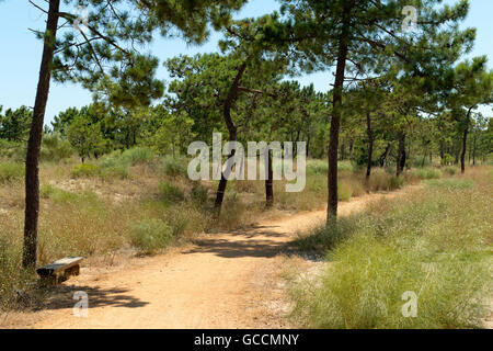 La Ecovia litoral sentiero natura, ciclo & walking via vicino Monte Gordo Foto Stock