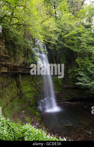 Cascata di Glencar, nella Contea di Leitrim Foto Stock