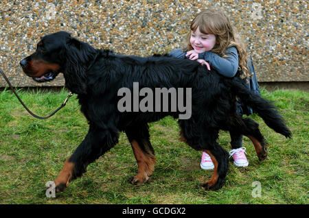 Crufts 2010 Foto Stock