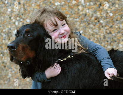 Crufts 2010 Foto Stock