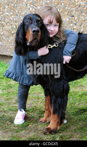 Crufts 2010 Foto Stock