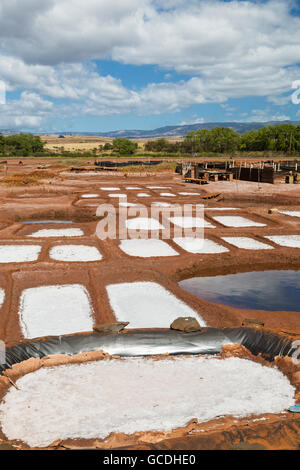 Sale bacini di raccolta in prossimità di Hanapepe; Kauai, Hawaii, Stati Uniti d'America Foto Stock