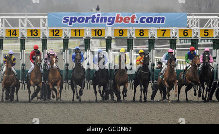 Corse di cavalli - Winter Derby - Lingfield Park Racecourse. L'inizio della Sportingbet supporta Heros Winter Derby durante il Winter Derby al Lingfield Park Racecourse, Surrey. Foto Stock