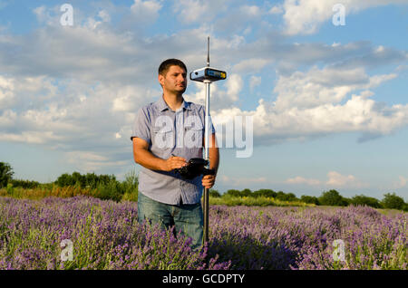 Inquadratura orizzontale di geometra in un campo di lavanda Foto Stock