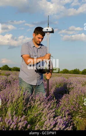 Agrimensura in un campo di lavanda intorno Kazanlak Foto Stock