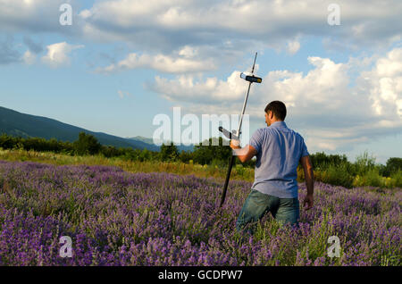 Geometra attraversando Campo di lavanda Foto Stock