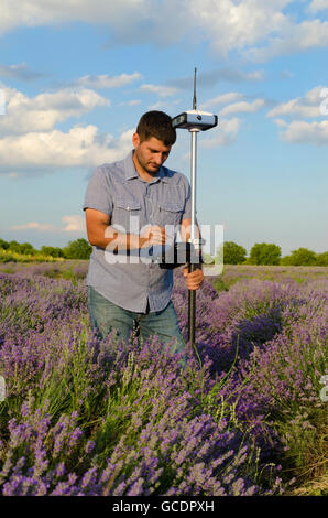 Tracciamento in un campo di lavanda Foto Stock