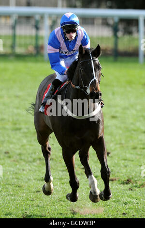 Horse Racing - Doncaster scudo giorno - Doncaster Racecourse Foto Stock