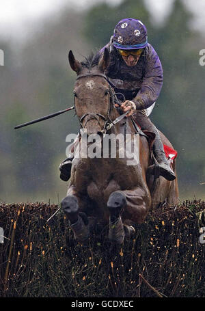 Horse Racing - Festival di Pasqua - Giorno 3 - Fairyhouse Racecourse Foto Stock