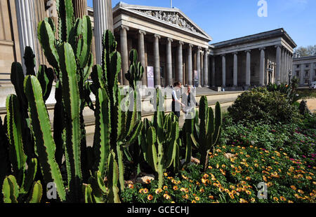 Sud Africa garden sul display al di fuori del Museo Britannico Foto Stock