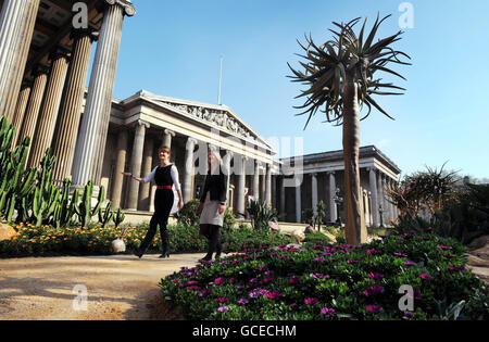 Sud Africa garden sul display al di fuori del Museo Britannico Foto Stock