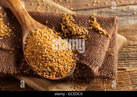 Materie organiche Golden semi di lino in un cucchiaio Foto Stock