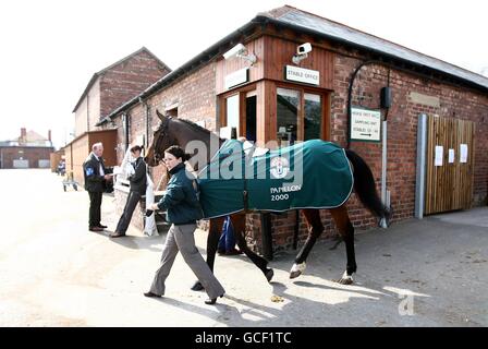 Horse Racing - 2010 John Smith il Grand National - Giorno 3 - L'Aintree Racecourse Foto Stock