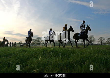 Horse Racing - Punchestown Festival 2010 - Giorno 4 - Punchestown Racecourse Foto Stock