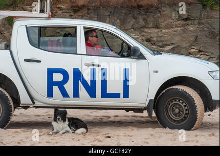 Un bagnino RNLI di pattuglia su una spiaggia della Cornovaglia con la sua fedele sheepdog dal suo lato Foto Stock