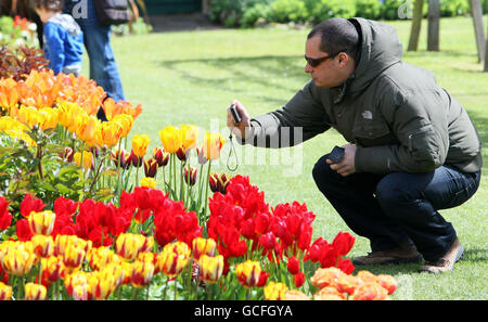 Visitatori del festival dei tulipani nel giardino murato del castello di Glenarm in Co Antrim. Foto Stock