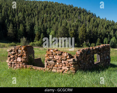 Resti della vecchia cabina di roccia nel prato lungo la Mason Creek Trail, Staunton parco statale, pino, Colorado. Foto Stock