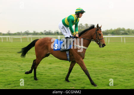 La scelta del clerk cavalcata da Tom Molloy che va a postare per L'ostacolo dei Novizi del Regno Unito Racing Foto Stock