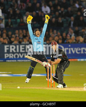 Andrew Hodd di Sussex si appella con successo al wicket di Somerset's Nick Compton fuori dal bowling di Michael Yardy durante la partita Friends Provident T20 al County Ground, Hove. Foto Stock