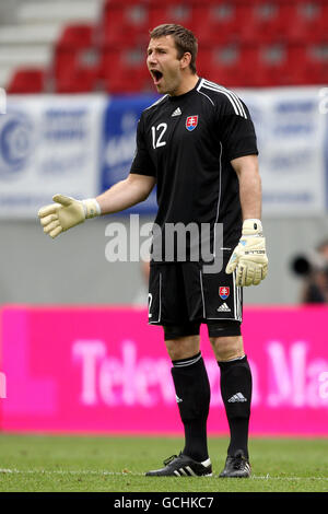 Calcio - International friendly - Slovacchia / Camerun - Wortherseestadion. Portiere slovacco Dusan Pernis Foto Stock