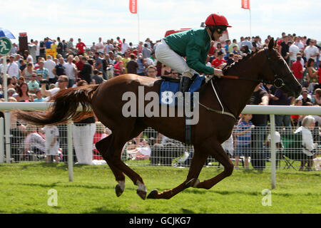 Corse di cavalli - Il quarantesimo Macmillan carità giorno - Giorno 2 - York Racecourse Foto Stock