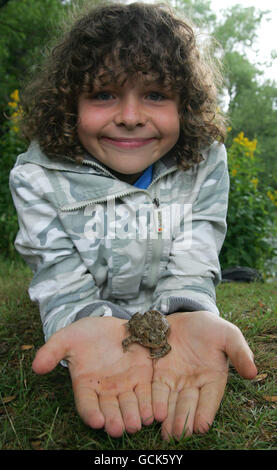 L'attore Daniel Roche di 10 anni, che gioca ben in BBC's Outnumered, tiene un rospo britannico al Trent Park a Cockfosters, Londra, mentre WREN (Waste Recycling Environmental Limited) assegna 2 milioni di premi a beneficenza della natura dal suo 10M Biodiversity Action Fund. Foto Stock