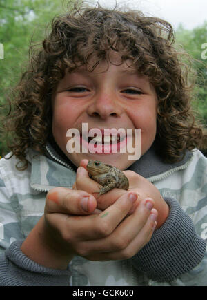 L'attore Daniel Roche di 10 anni, che gioca ben in BBC's Outnumered, tiene un rospo britannico al Trent Park a Cockfosters, Londra, mentre WREN (Waste Recycling Environmental Limited) assegna 2 milioni di premi a beneficenza della natura dal suo 10M Biodiversity Action Fund. Foto Stock