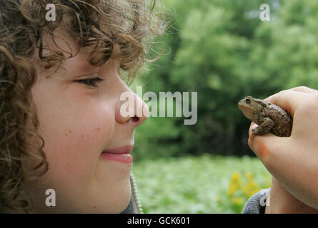 L'attore Daniel Roche di 10 anni, che gioca ben in BBC's Outnumered, tiene un rospo britannico al Trent Park a Cockfosters, Londra, mentre WREN (Waste Recycling Environmental Limited) assegna 2 milioni di premi a beneficenza della natura dal suo 10M Biodiversity Action Fund. Foto Stock