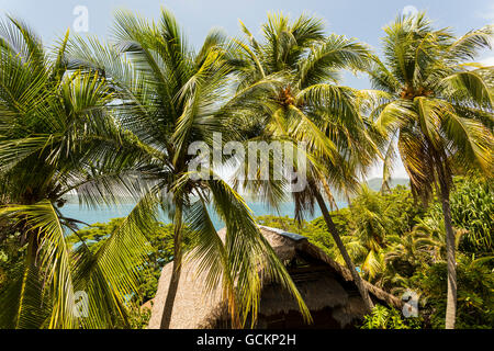 Laguna di Apoyo, Nicaragua - Giugno 2016. Palme e acqua a Selva Azul Resort Foto Stock