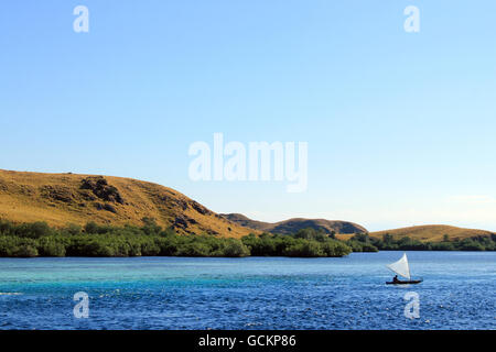 Parco Nazionale di Komodo, visto da the Waterside Foto Stock