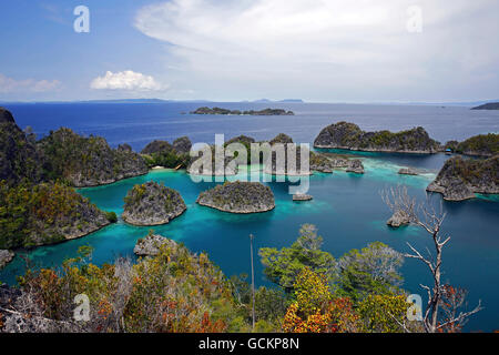 Vista su Pianemo. Fam, Raja Ampat, Indonesia Foto Stock