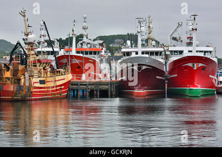 Commerciale di pesca i pescherecci con reti da traino ormeggiata in dock a Killybegs nella Contea di Donegal in Repubblica di Irlanda Foto Stock