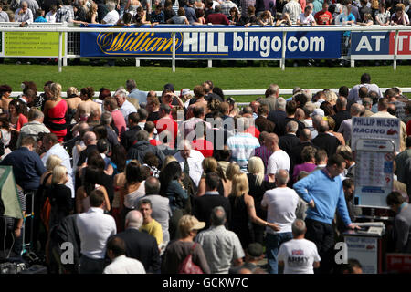 Corse ippiche, Ippodromo di Ripon. Insegna di William Hill all'ippodromo di Ripon Foto Stock