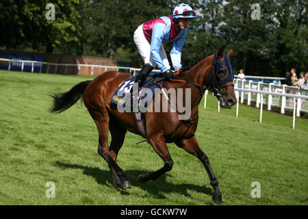 Jockey Duran Fertiman su ragazza preferita va a postare per Il William Hill Great St Wilfrid Foto Stock