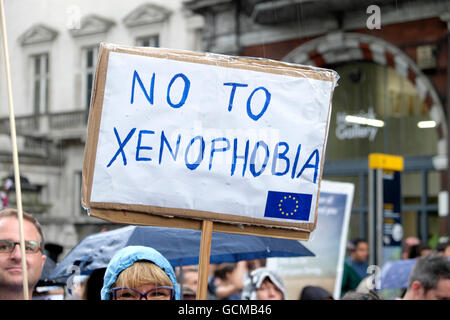 Manifesto della xenofobia l'UE firma i manifestanti alla dimostrazione anti-Brexit "marcia per l'Europa" a Londra Inghilterra 23 giugno 2016 KATHY DEWITT Foto Stock