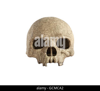 Cranio umano isolato su sfondo bianco. Percorso di clipping è incluso Foto Stock