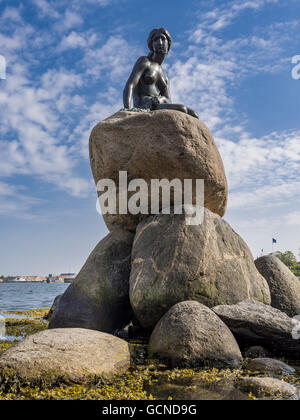 Il Mermaid, scultura in Copenhagen, Danimarca Foto Stock