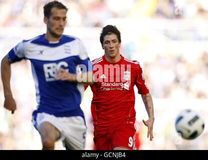 Calcio - Barclays Premier League - Birmingham City / Liverpool - St Andrew's Stadium. Fernando Torres di Liverpool (a destra) e Roger Johnson di Birmingham (a sinistra) Foto Stock