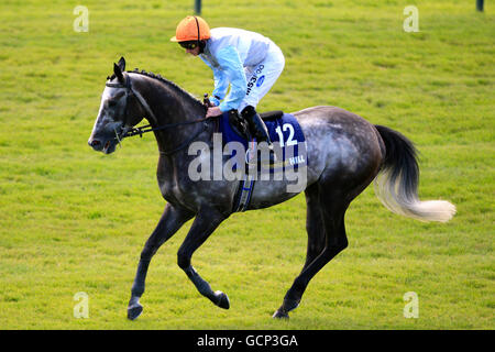 Horse Racing - William Hill Gold Cup Festival - Giorno 3 - Ayr Racecourse Foto Stock