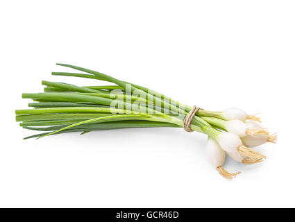 Mazzetto di cipolla verde su sfondo bianco, isolato Foto Stock