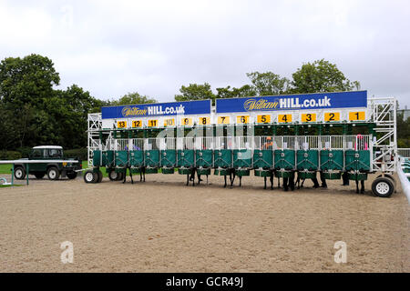 Horse Racing - Wolverhampton Racecourse Foto Stock