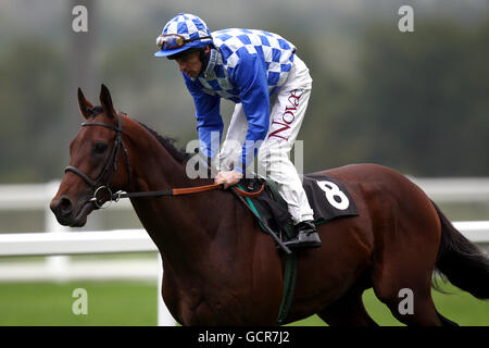 Horse Racing - Quarto CAMRA annuale del Festival della birra - Giorno 1 - Ascot Racecourse Foto Stock