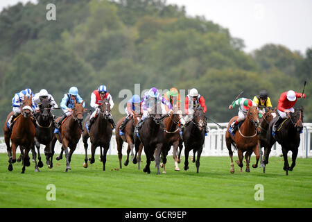 Corse ippiche - Quarta Festa annuale della birra CAMRA - primo giorno - Ippodromo di Ascot. Azione del DJP International Handicap Stakes Foto Stock