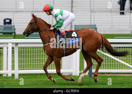 Horse Racing - Quarto CAMRA annuale del Festival della birra - Giorno 1 - Ascot Racecourse Foto Stock