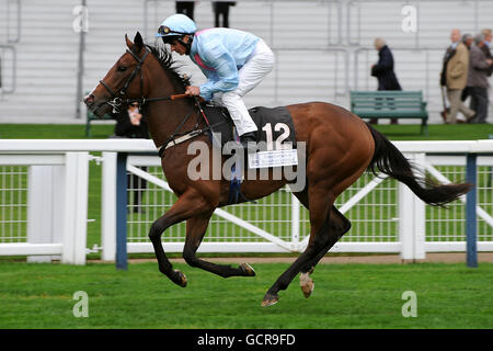 Horse Racing - Quarto CAMRA annuale del Festival della birra - Giorno 1 - Ascot Racecourse Foto Stock