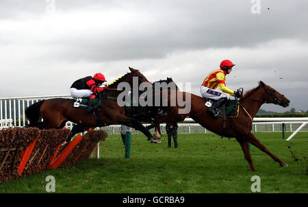 Amber Brook guidato da Paddy Brennan (a destra) sulla loro strada per la vittoria nel Pertemps handicap hurdle a Cheltenham Racecourse. Foto Stock