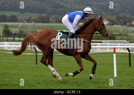 Horse Racing - Cheltenham Racecourse Foto Stock