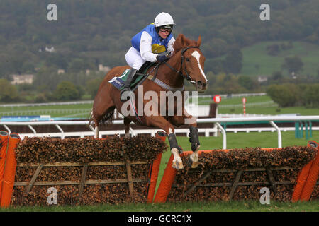 Jockey Chloe Boxall sulla brocca di Punch durante i Pertemps Ostacolo per disabili Foto Stock