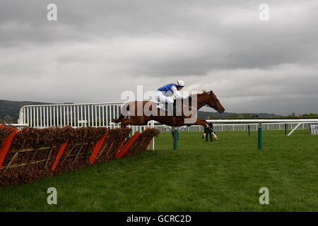 Jockey Chloe Boxall sulla brocca di Punch durante i Pertemps Ostacolo per disabili Foto Stock